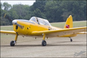 D75_8740